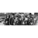 07-11-2017 - MCS Marketing - SCORPIONS - banner.jpg